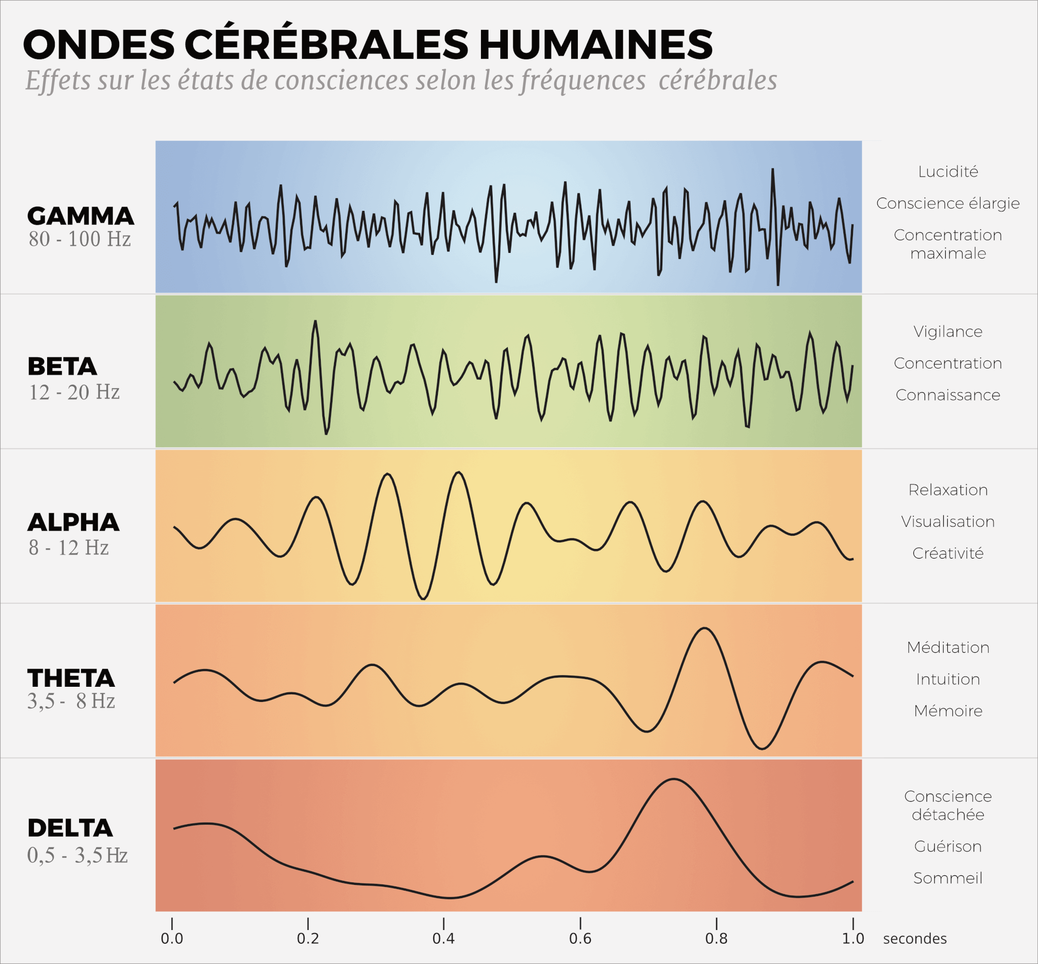 ondes-cerebrales-humaines